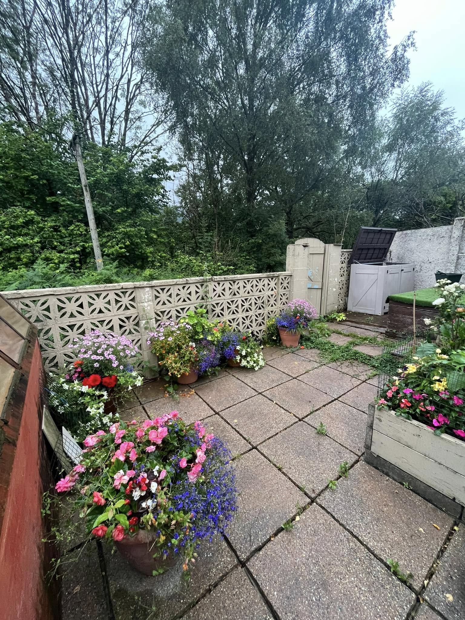 481082442_606408002293764_3418201249368172413_n 481082442_606408002293764_3418201249368172413_n